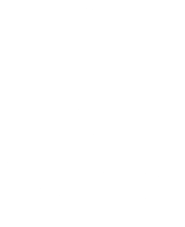 The Star Inn Logo